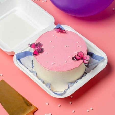 Butterfly Bento Cake