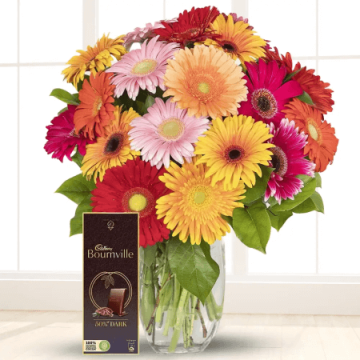 12 Mixed Gerberas with a Bournville Chocolate