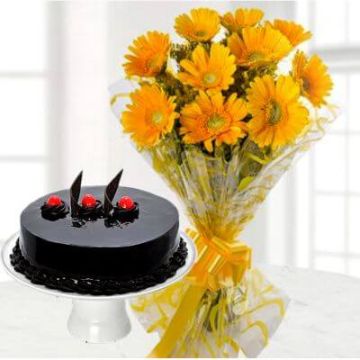 15 Yellow Gerberas Bunch with 1 Kg Chocolate Truffle Cake