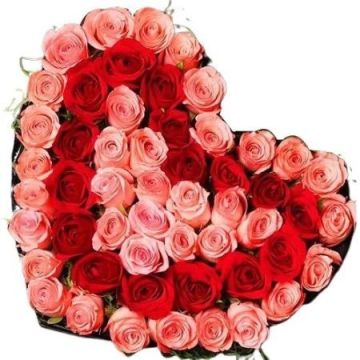 50 Pink n Red Roses Heart Shape Arrangement