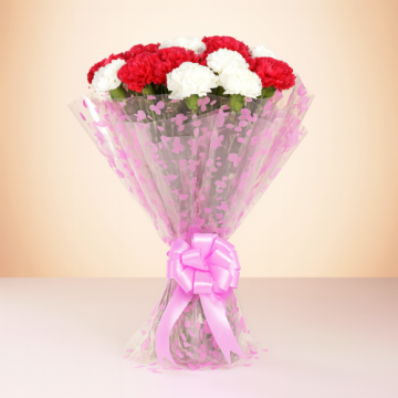 Carnation Love 12 Pink and White Carnations Bunch