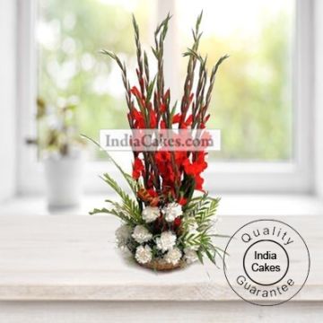 Carnation and Gladiolus
