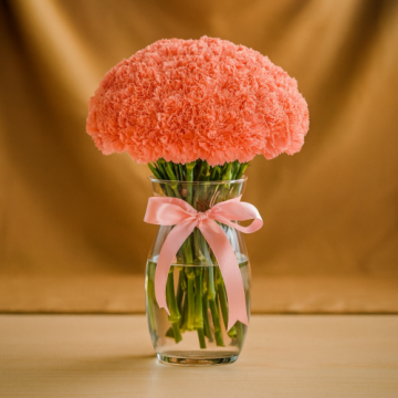 Classical Arrangement of 15 Pink Carnations