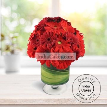 RED GERBERAS WITH VASE