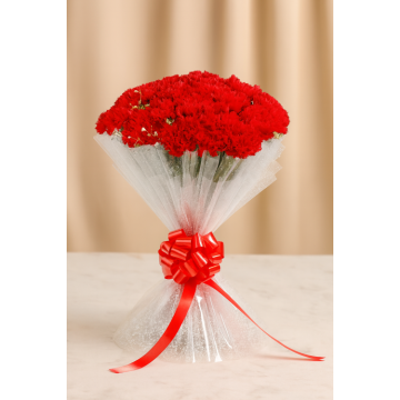 Loving Blooms 25 Red Carnations