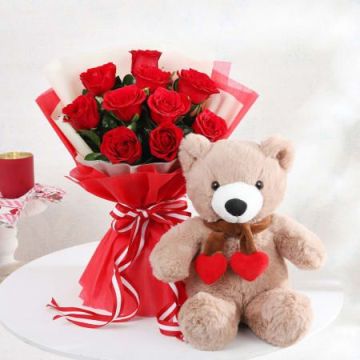 Teddy and 10 Roses Combo