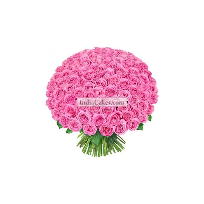 100 Pink Roses Bunch