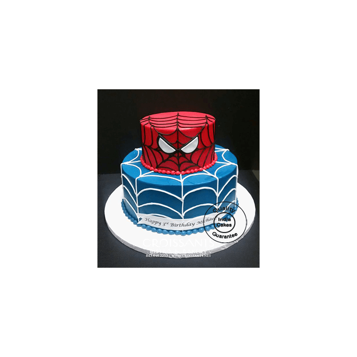 Spiderman Birthday Cake_4