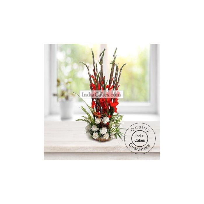 Carnation and Gladiolus Carnation and Gladiolus