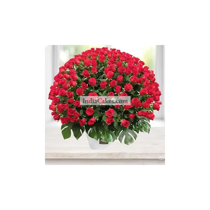 Arrangement of 150 Roses Arrangement of 150 Roses