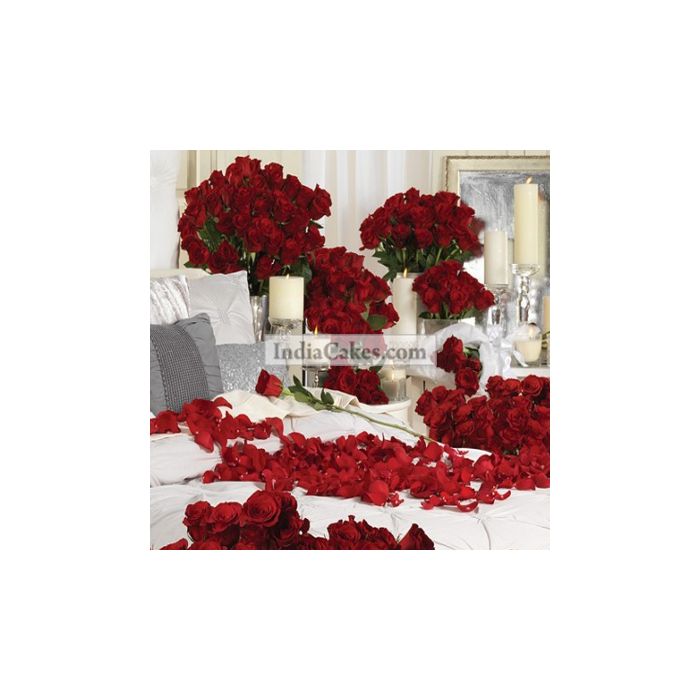 Room Full Of 500 Red Roses Room Full Of 500 Red Roses