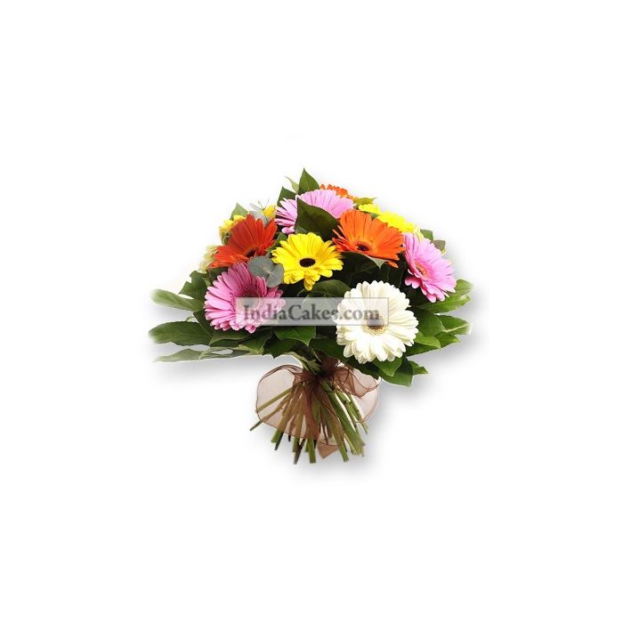 12 Mix Gerberas Bunch 12 Mix Gerberas Bunch