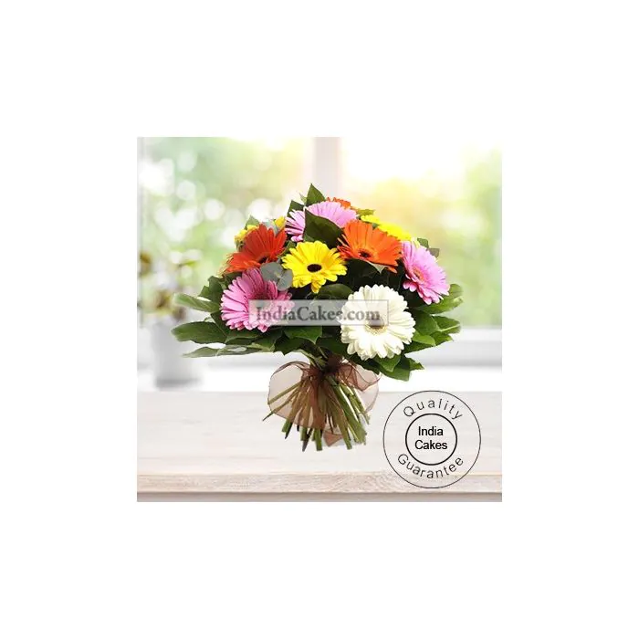 12 MIX GERBERAS BUNCH 12 MIX GERBERAS BUNCH