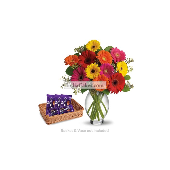 12 Mixed Gerberas Bunch And 5 Cadbury Dairy Milk Chocolates 12 Mixed Gerberas Bunch And 5 Cadbury Dairy Milk Chocolates