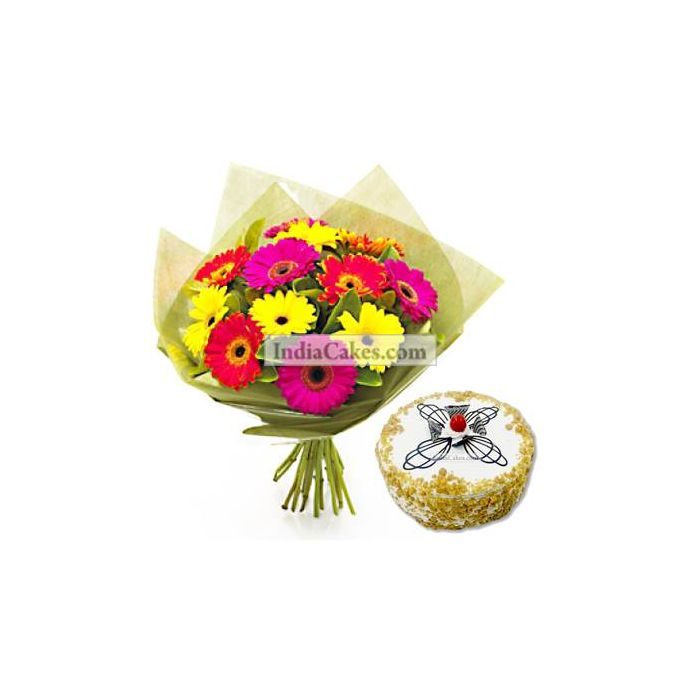 12 Mixed Gerberas Bunch And Half Kg Butter Scotch Cake 12 Mixed Gerberas Bunch And Half Kg Butter Scotch Cake