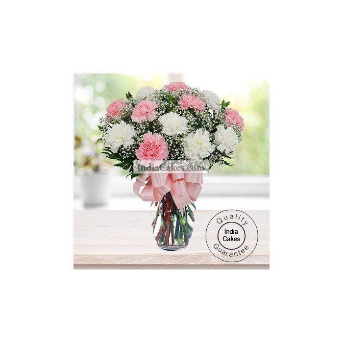20 PINK AND WHITE CARNATIONS BUNCH 20 PINK AND WHITE CARNATIONS BUNCH