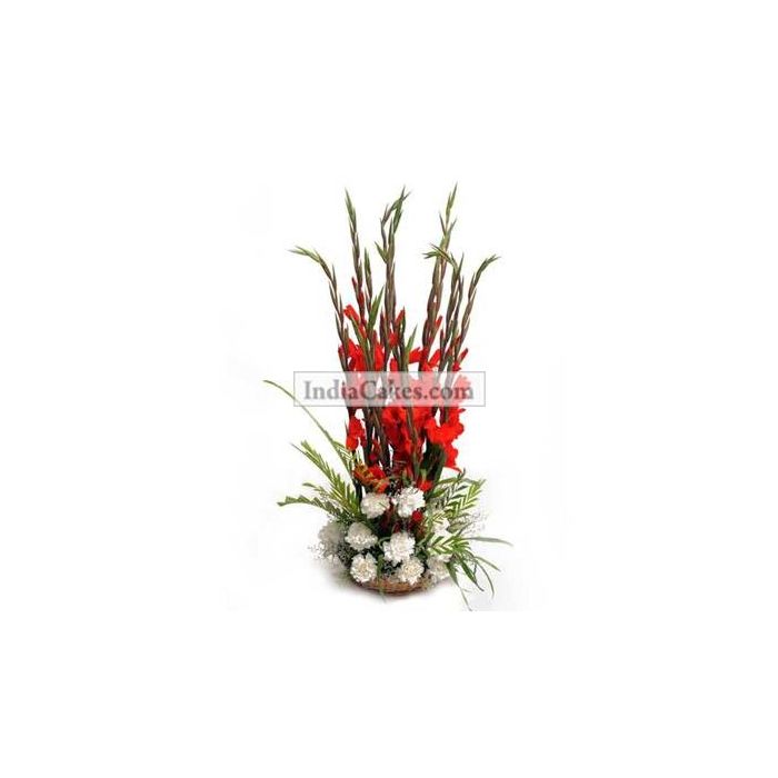 Carnation and Gladiolus Carnation and Gladiolus
