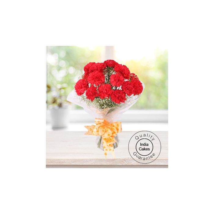 10 RED CARNATIONS BUNCH 10 RED CARNATIONS BUNCH