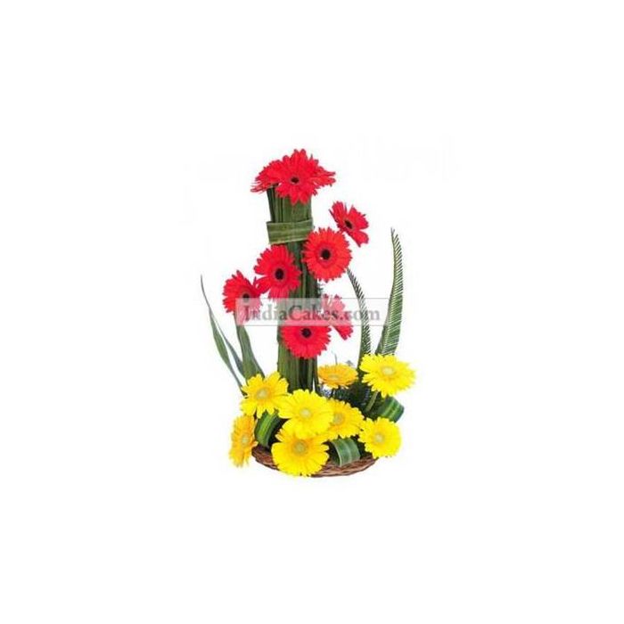 Red & Yellow Upgloss Gerberas Arrangement Red & Yellow Upgloss Gerberas Arrangement