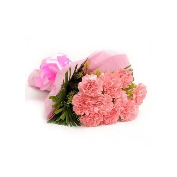 Lovely 10 Pink Carnations Bouquet Lovely 10 Pink Carnations Bouquet