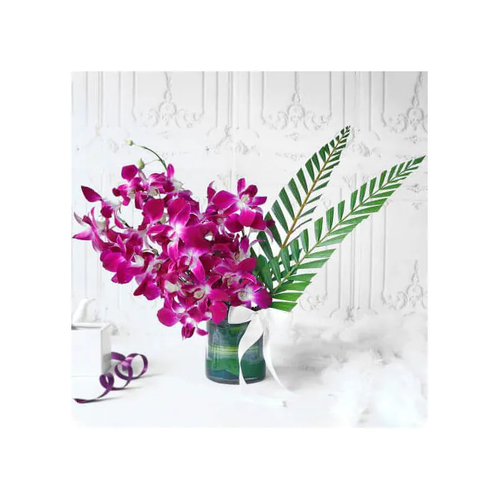 Luxurious 6 Purple Orchids in Glass Vase