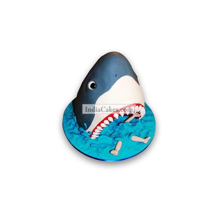 2.5 Kg Shark Cake 2.5 Kg Shark Cake