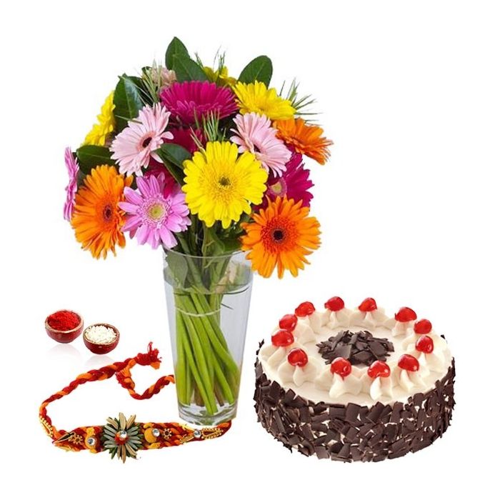 15 Mix Gerberas With Vase Half Kg Black Forest With Rakhi