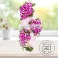3 FEET ARRANGEMENT OF 90 ORCHIDS thumbnail