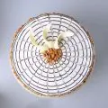 Eggless Symphony Butterscotch Cake Half Kg thumbnail