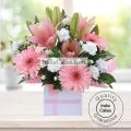 ARRANGEMENT OF 6 GERBERAS AND 6 LILLIUM thumbnail