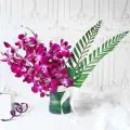 Luxurious 6 Purple Orchids in Glass Vase thumbnail