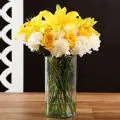 Yellow and White Flowers Symphony thumbnail