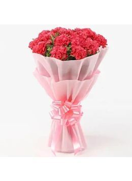 10 Majestic Pink Carnations Bouquet 10 Majestic Pink Carnations Bouquet