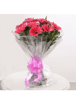Passionate 10 Pink Gerberas Bunch