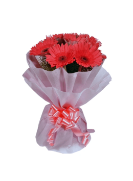 Pink Bliss 10 Gerberas Bunch