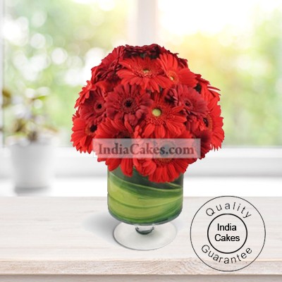 Red Gerberas with Vase